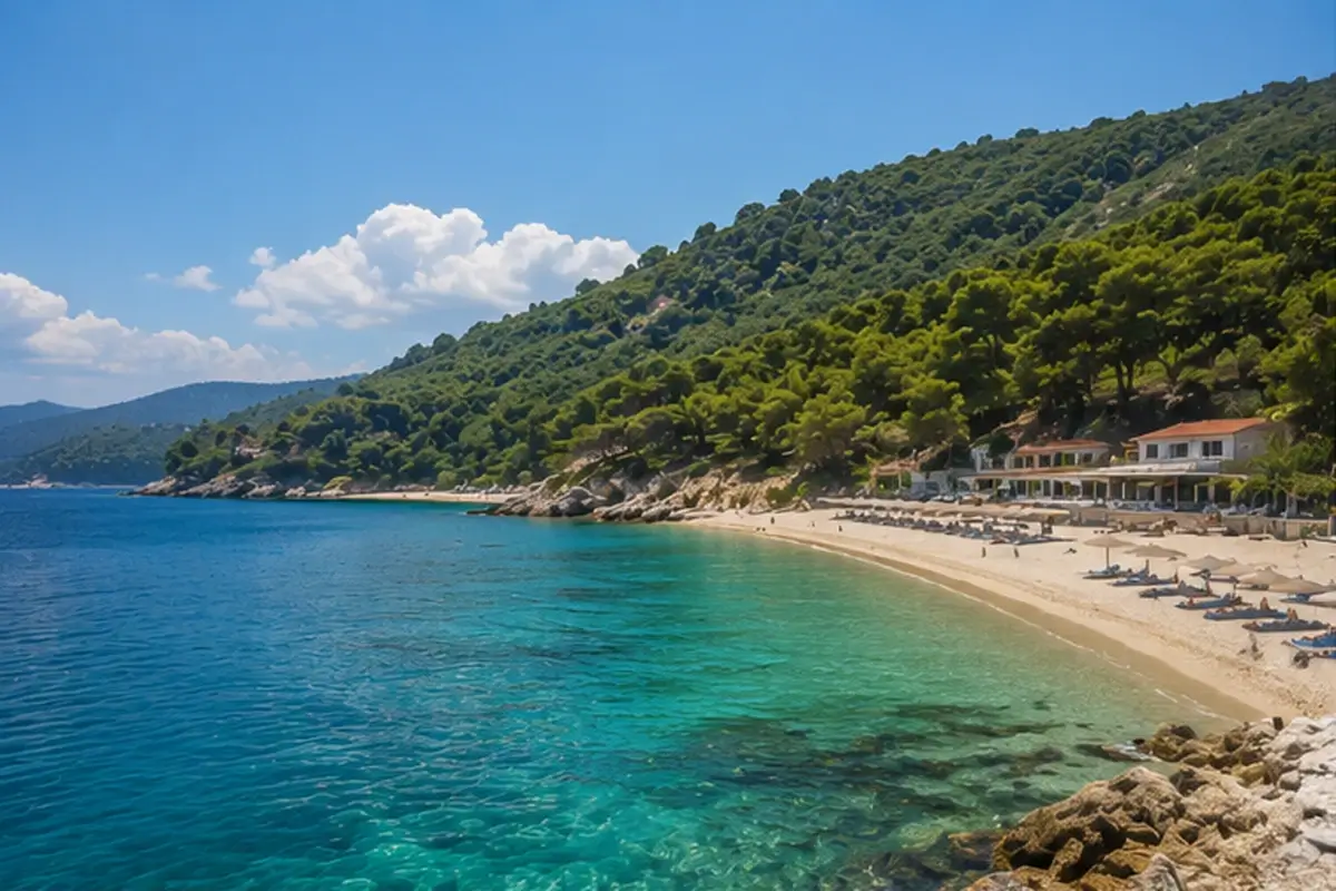 Pine-covered coastline and turquoise cove in Sithonia, Halkidiki