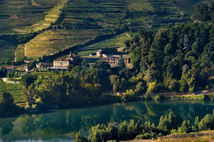 Hotel estate surrounded by trees and terraced vineyards above a river at Six Senses Douro Valley