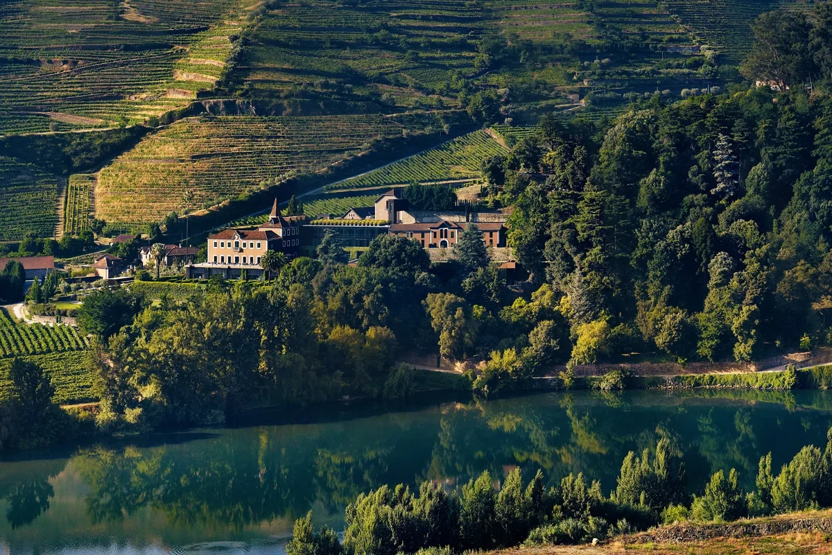 Hotel estate surrounded by trees and terraced vineyards above a river at Six Senses Douro Valley