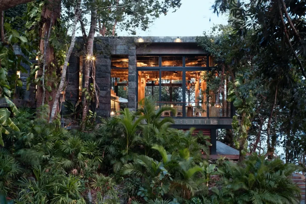A warmly lit glass-and-timber restaurant stands among tall trees and dense green foliage.