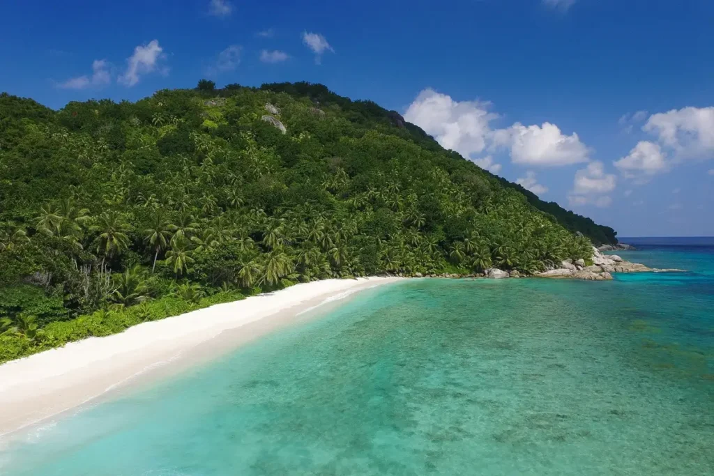 White sand curves beside clear turquoise water beneath a densely forested hillside.